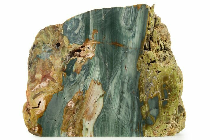 Free-Standing, Gary Green Jasper (Larsonite) Bog Wood - Oregon #334843
